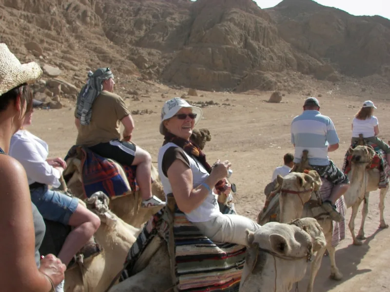 Safari mit Kamel