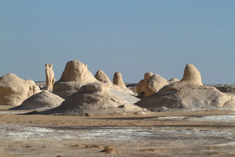 Western Desert in Egypt, Western Desert and  Oases Egypt