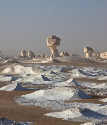 White Desert with Bahariya Oasis Adventure 