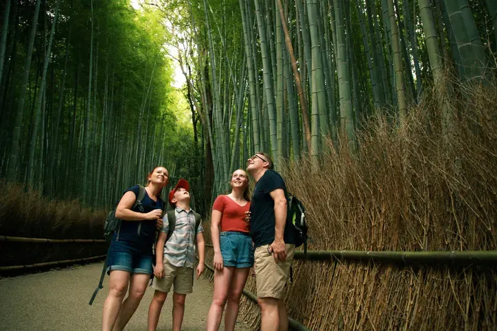 9 Days in Japan: Tokyo, Mt. Fuji, Hakone & Kyoto