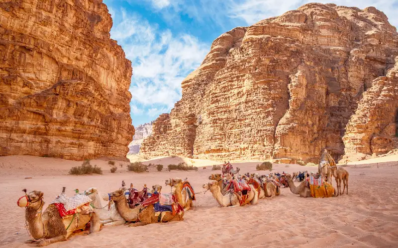 8 Day Jordan Private Tour – Amman, Jerash, Petra, Wadi Rum & Dead Sea