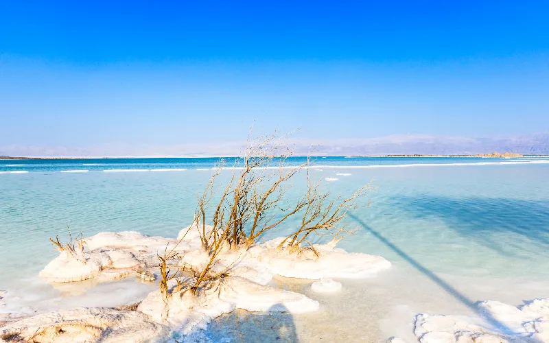 View of Dead Sea coastline. Salt crystals at sunset