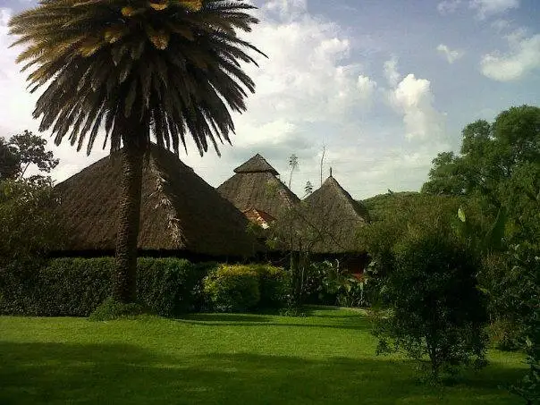 Flamingo Hill Camp