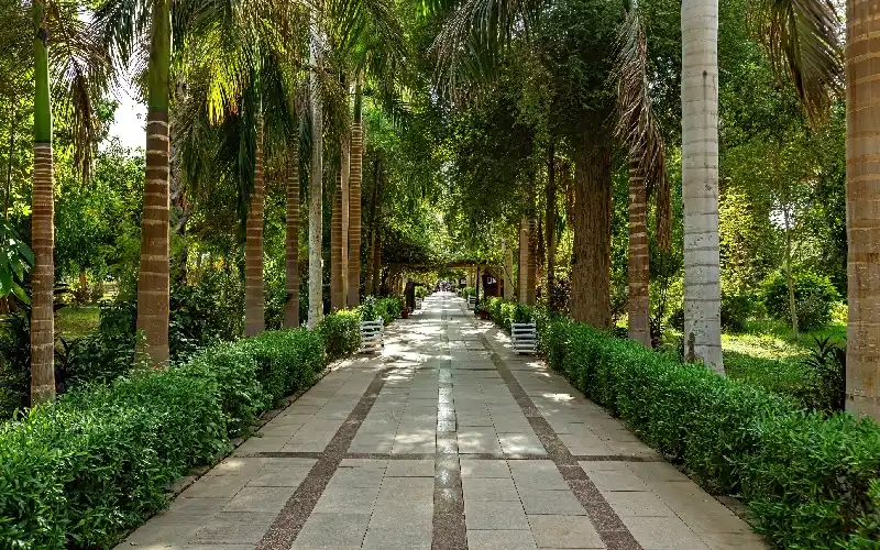 Kitchener Island Aswan