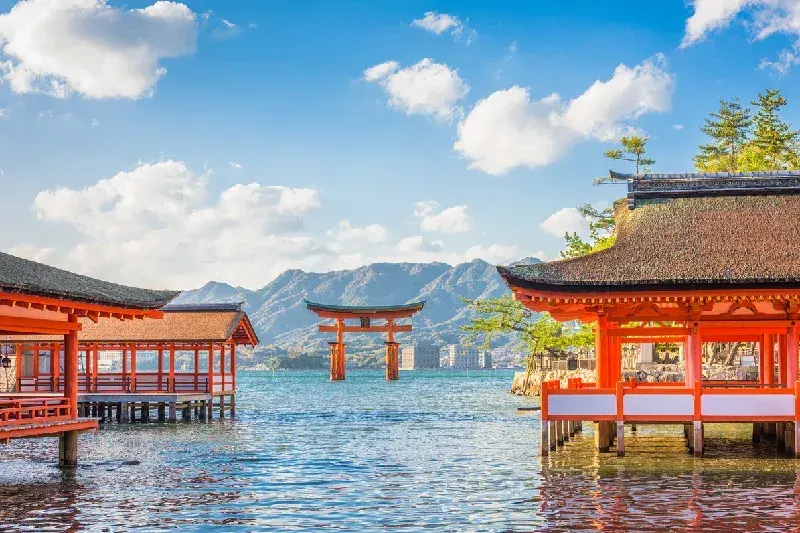 Japan Private Tour | Tokyo City Tour | Japan Family Tours