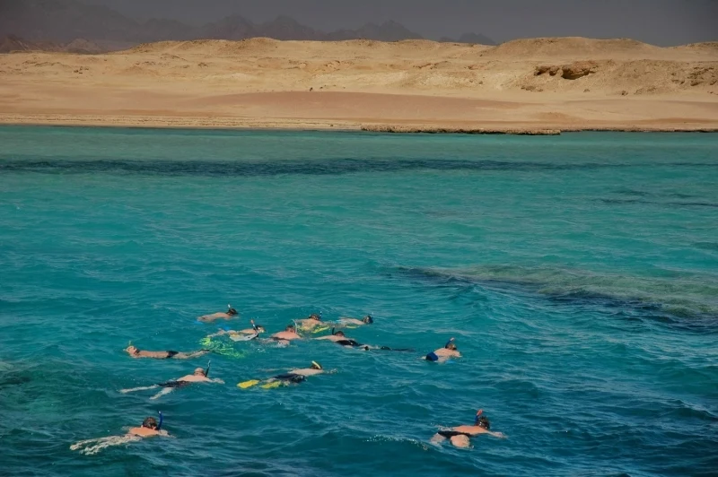 Snorkeling at Ras Mohamed National Park Snorkeling at Ras Mohamed National Park