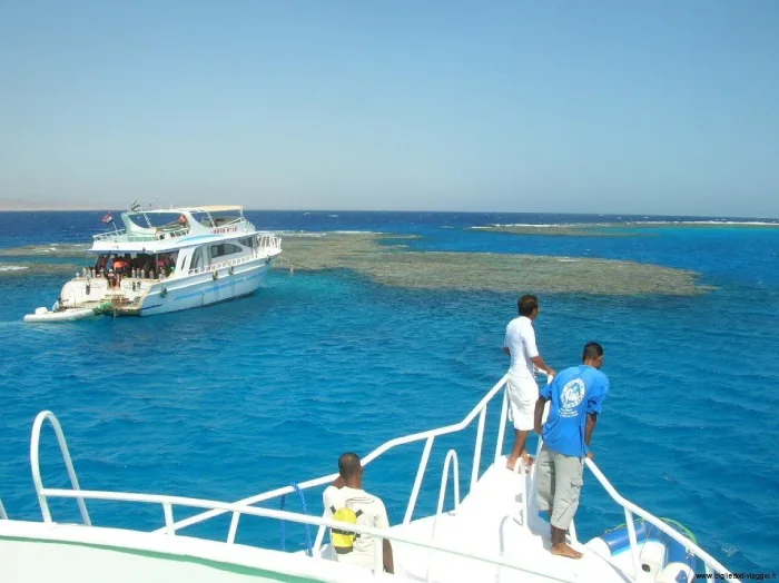 Dolphin House Tour in Marsa Alam (Sha’ab Samadai)