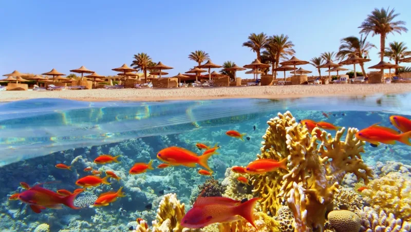 Sinai Tour: Dahab Highlights, Blue Hole, and Desert Adventures