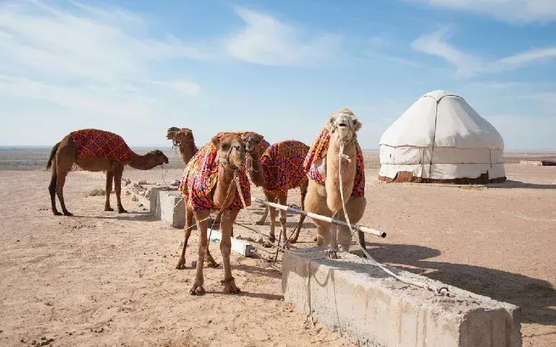 Tour in Uzbekistan Culturale + NUKUS e YURTA