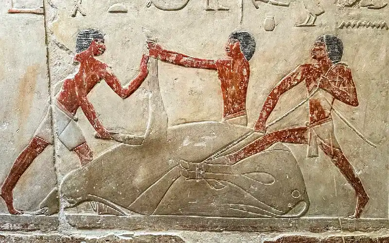 Saqqara Burial Site