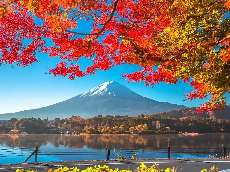 Paquete de Viaje a Japón en 6 días