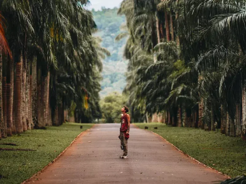 Tour Sri Lanka 12 Dias