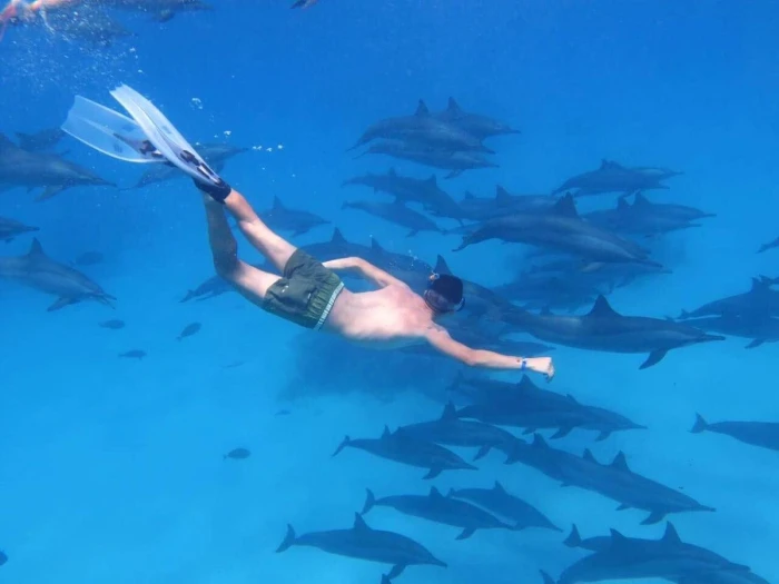 Dolphin House Tour in Marsa Alam (Sha’ab Samadai)