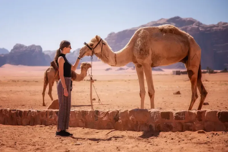 Passeio Mágico para Wadi Rum saindo de Amã