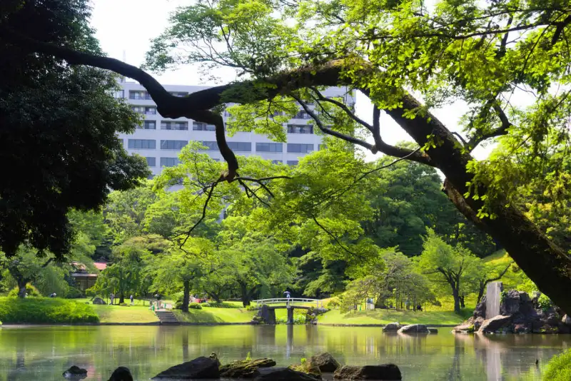 Japan Guided Tours 2026/2027