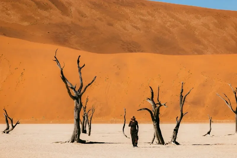 Extended Namibia Fly-in Safari