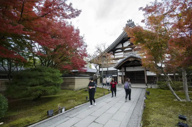 Japan Guided Tours 2026/2027