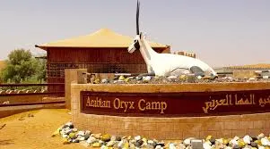 Wahiba Sands Arabian Oryx Camp