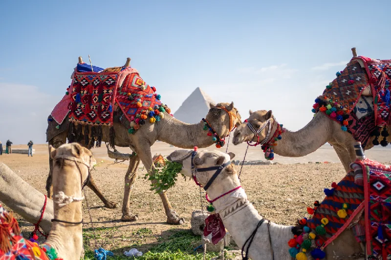 Viaje a Egipto desde Barcelona - Todo Incluido en Agosto con Crucero por el Nilo