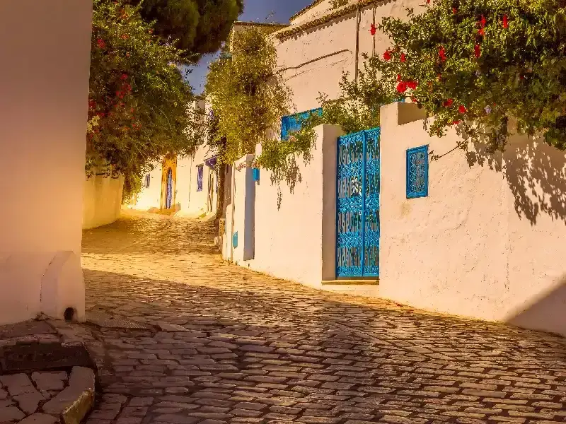 Viaje Organizado a Túnez