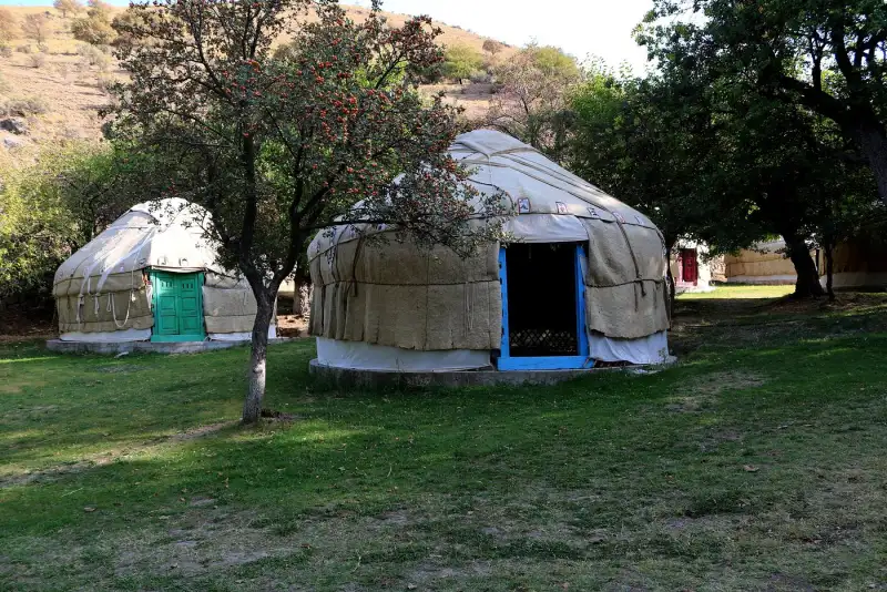 Yurt Camp