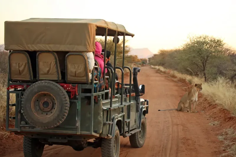 Namibia Self Drive Tour
