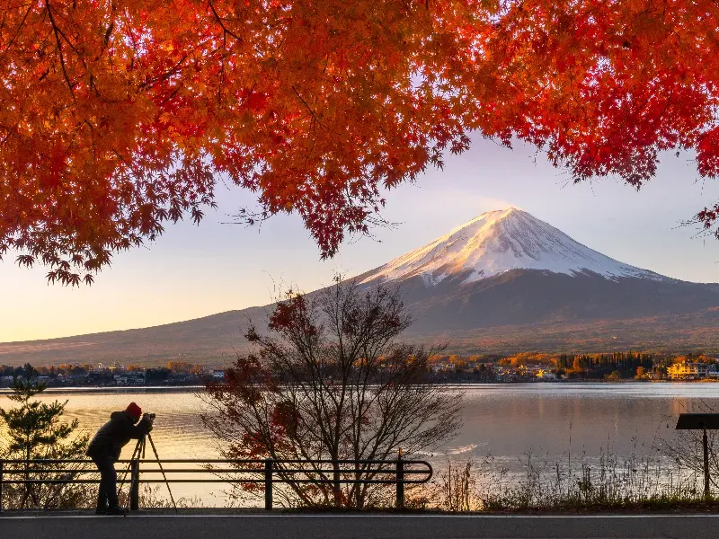 Viaje a Japón de 9 días: Tokio, Monte Fuji y Kioto