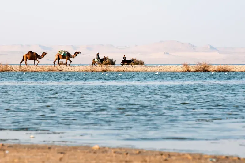 Passeio na Vila Tunis em Fayoum