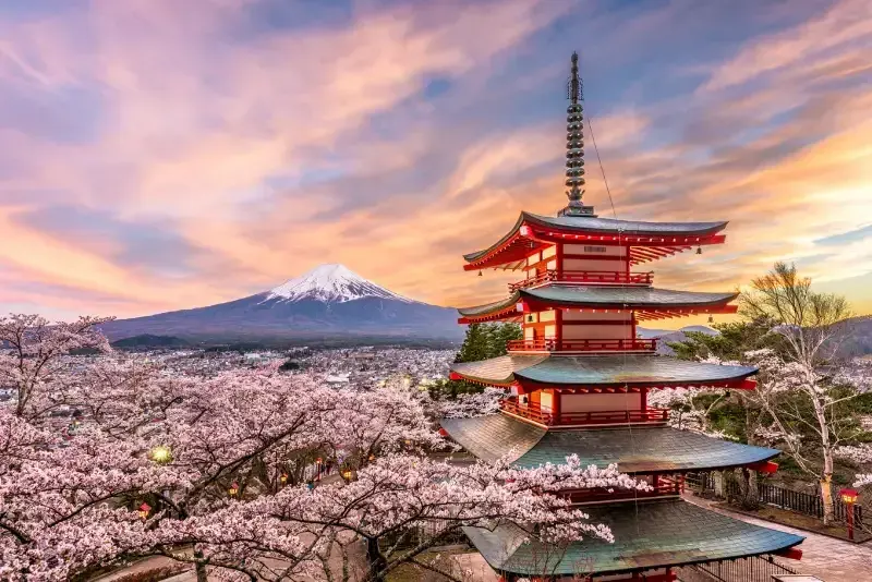 pagode-chureito-cercado-por-cerejeiras-em-flor-com-o-monte-fuji-ao-fundo-no-japao