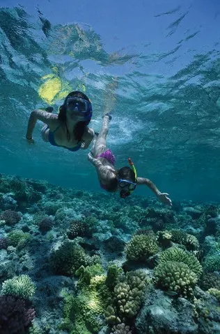 Schnorchelausflug in der Nähe von Utopia Insel ab Safaga