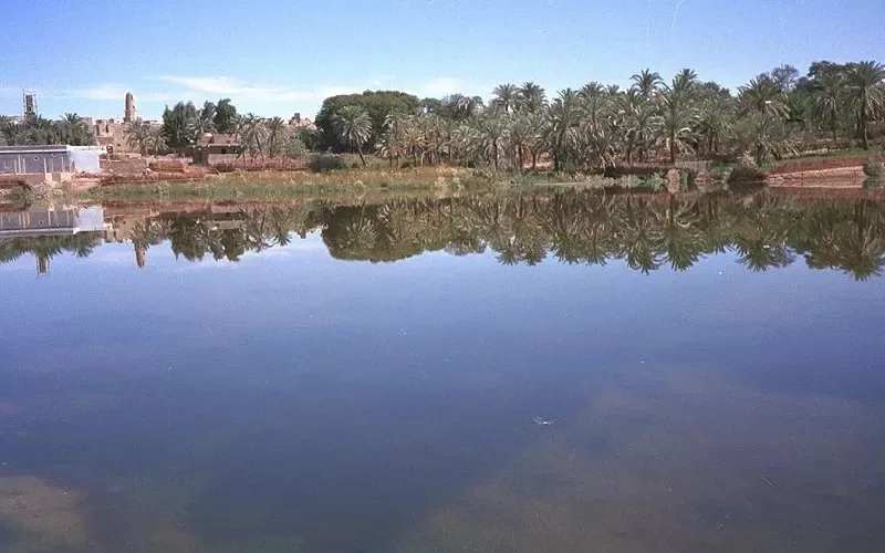 l'Oasis de Dakhla