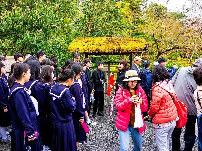 Templo Kinkakuji: El Pabellón Dorado de Kioto 2026