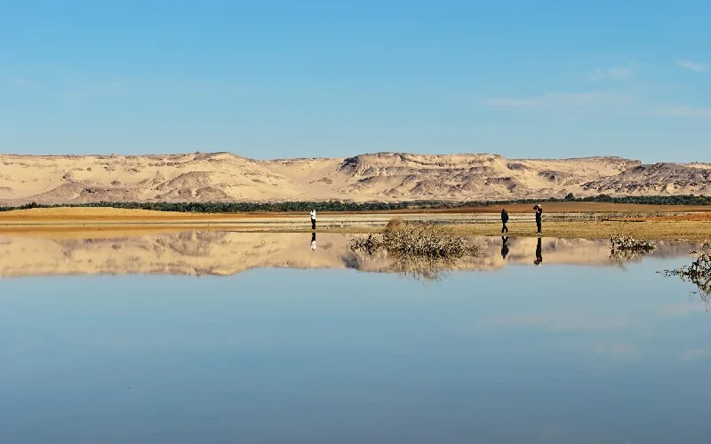 Farafra Desert Egypt