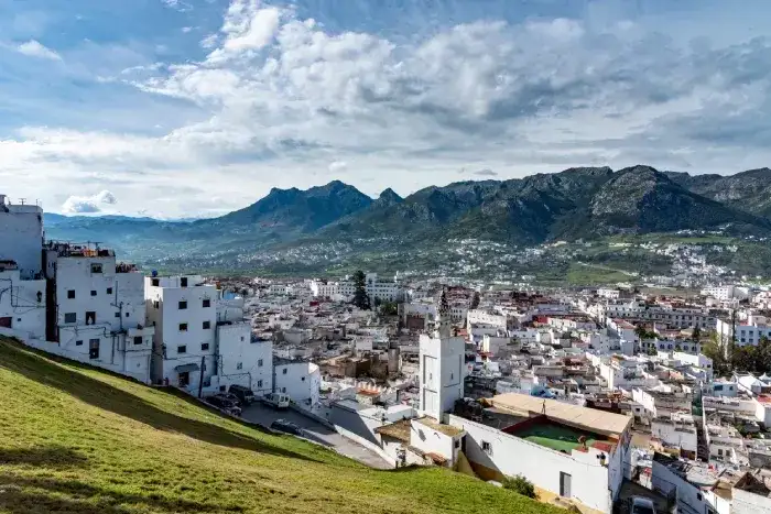 A view of the medina from the top of the hill, with a mosque in the foreground.