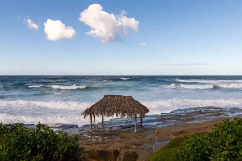 Windansea Beach — Kalifornien, USA