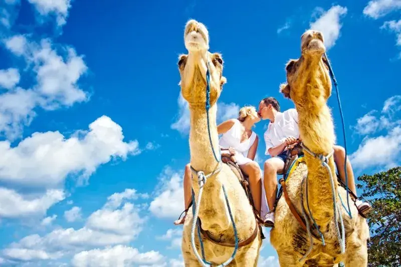 Meilleure période pour aller en Égypte