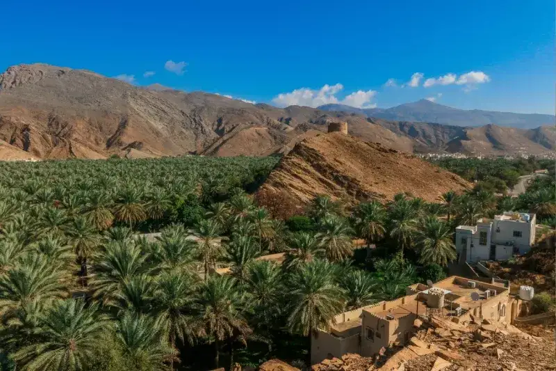 Birkat Al Mouz Oman, Birkat Al Mouz