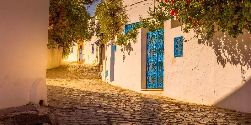 El pueblo de Sidi Bou Said, Cartago, Túnez