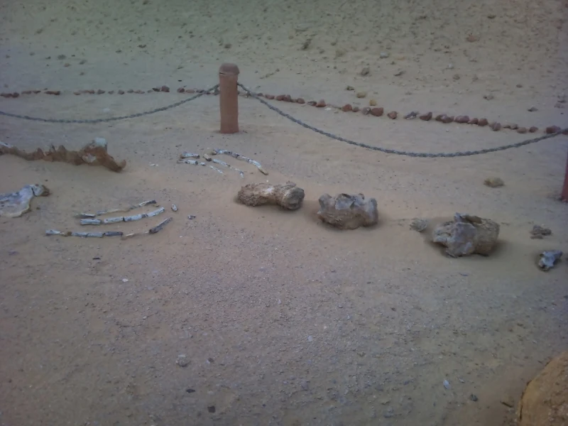 Valley of the whales, El Fayoum Oasis