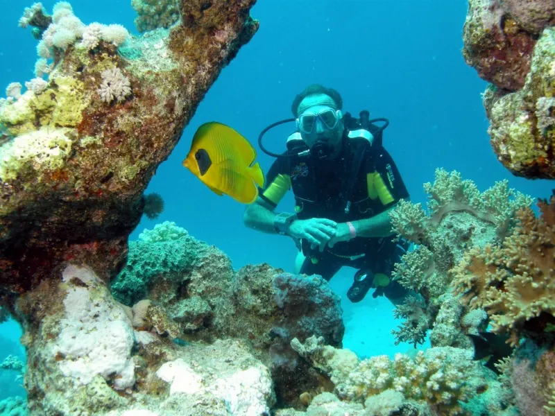 Marsa Alam Red Sea Egypt