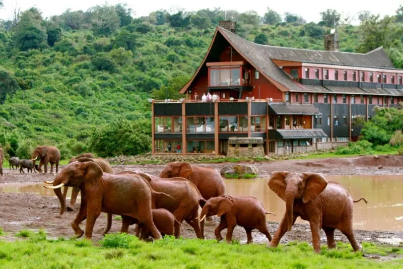 The Ark Hotel