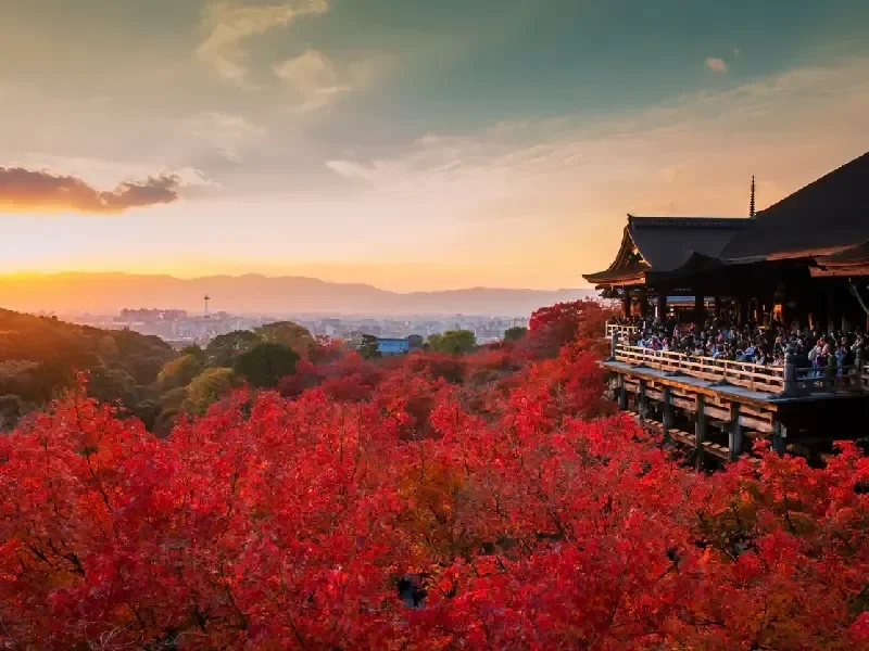 La esencia de Japon en 10 dias