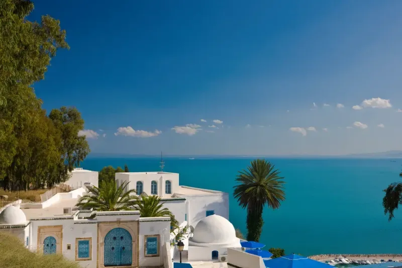 Sidi Bou Said: Your Complete Guide to Tunisia's Blue-and-White Dream Village