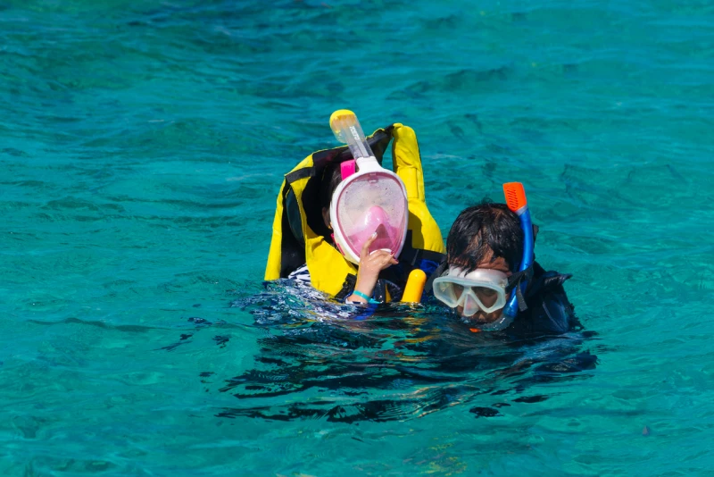 Snorkeling Trip At Paradise Island Snorkeling Trip At Paradise Island