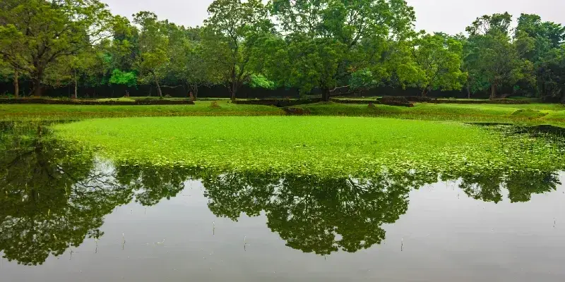 Los jardines acuáticos de Sigiriya consisten en una colección de estanques, fuentes y áreas verdes, Sri Lanka.