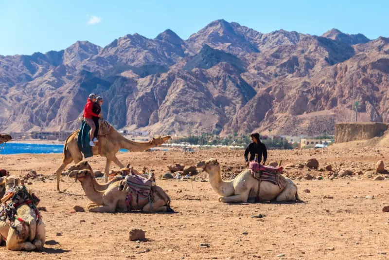 Sinai Tour: Dahab Highlights, Blue Hole, and Desert Adventures