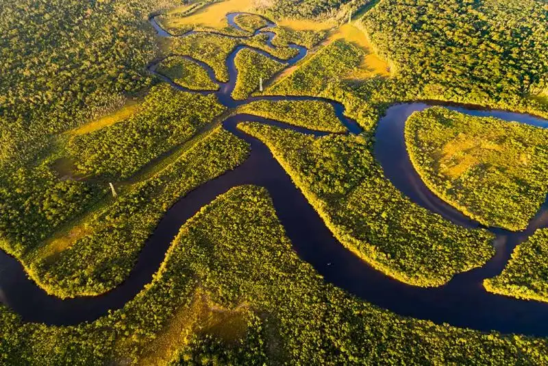 foreste più grandi del mondo