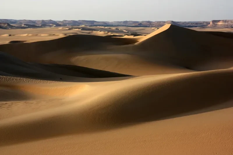 Aventura y Relax en el Oasis de Siwa: Viaje de 4 Días