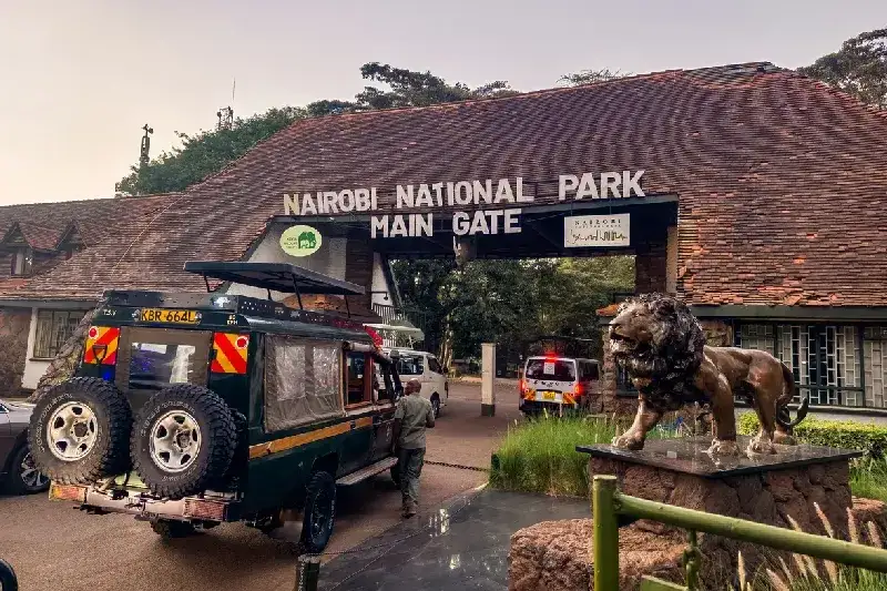  Safari vans wait to enter the main gate of Nairobi National Park