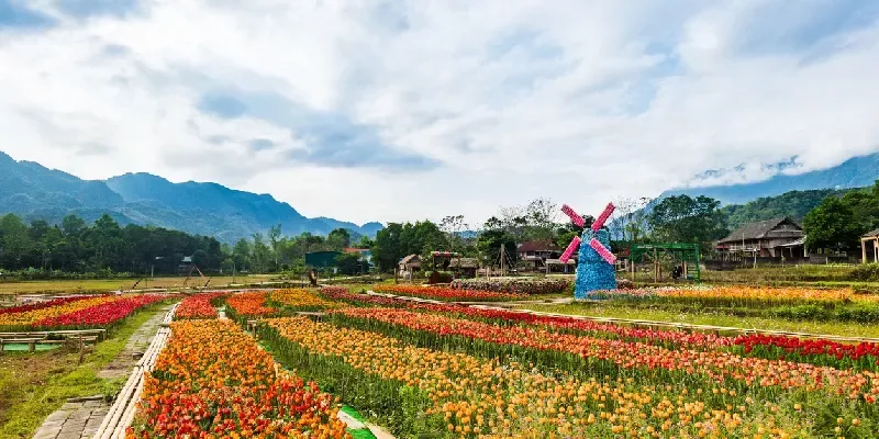 Paisaje del pueblo de Mai Chau con campos de arroz en el norte de Vietnam.